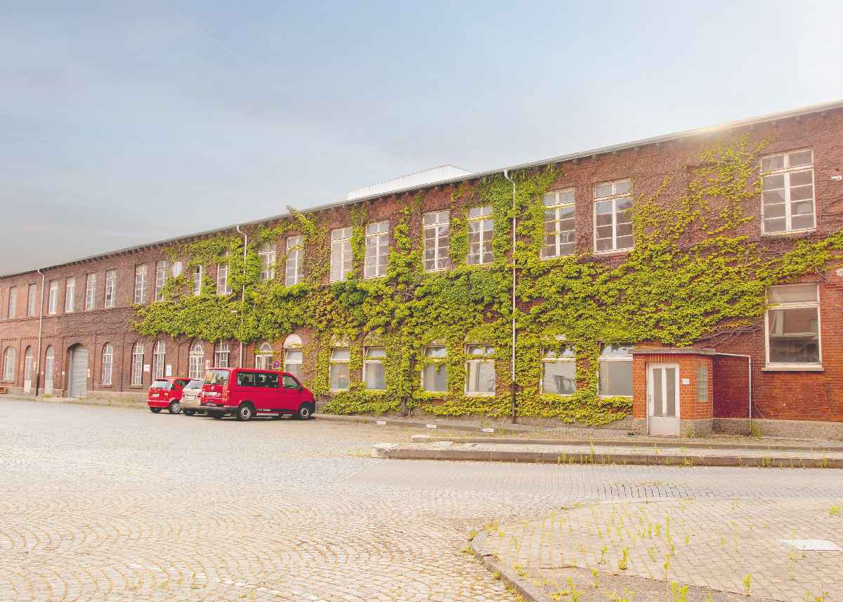 Ansicht eines alten Fabrikgebäudes, das mit Efeu bewachsen ist
